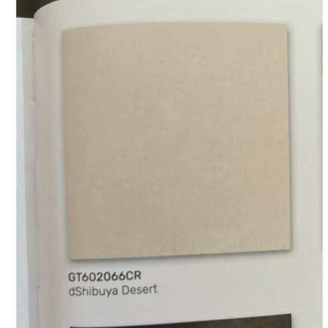 Granit 60 × 60 roman dShibuya dessert kw 1