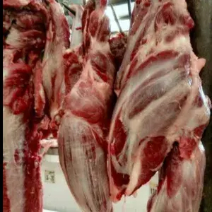 

DAGING SAPI SENGKEL fresh 500gram