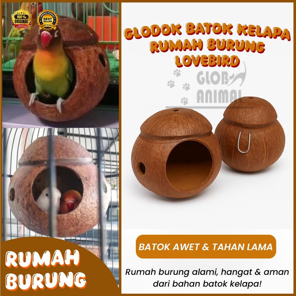 GLODOK BATOK KELAPA rumah burung lovebird glodok burung kenari murai