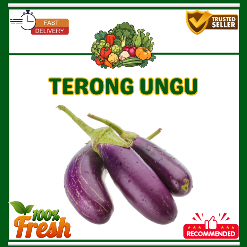 

KIRIM INSTAN Terong Ungu Segar 250gr