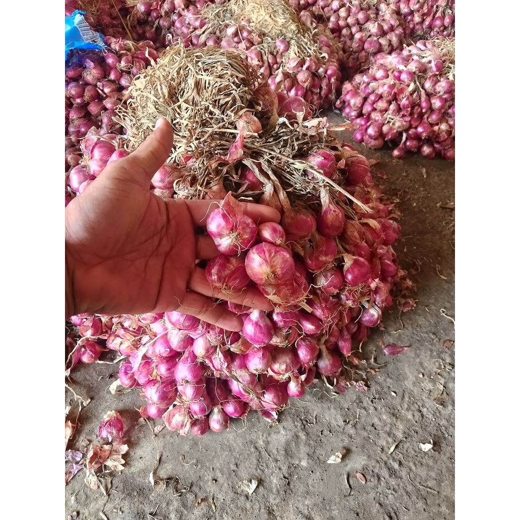 

BM probolinggo super