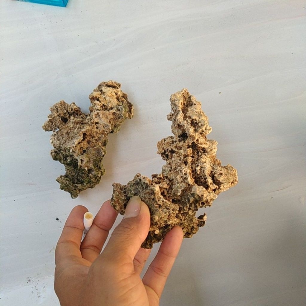 Batu karang untuk bonsai mame /aquarium /aquascape