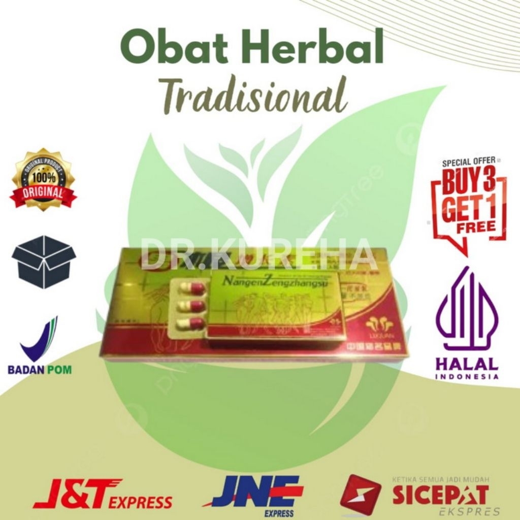 NANGEN ZENGZHANGSU ORIGINAL 1 SLOP ISI 12 KAPSUL OBAT HERBAL PENAMBAH STAMINA PATEN