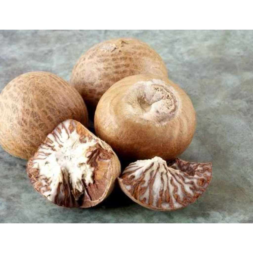 

Biji pinang muda (jambe) herbal alami paket per 25biji