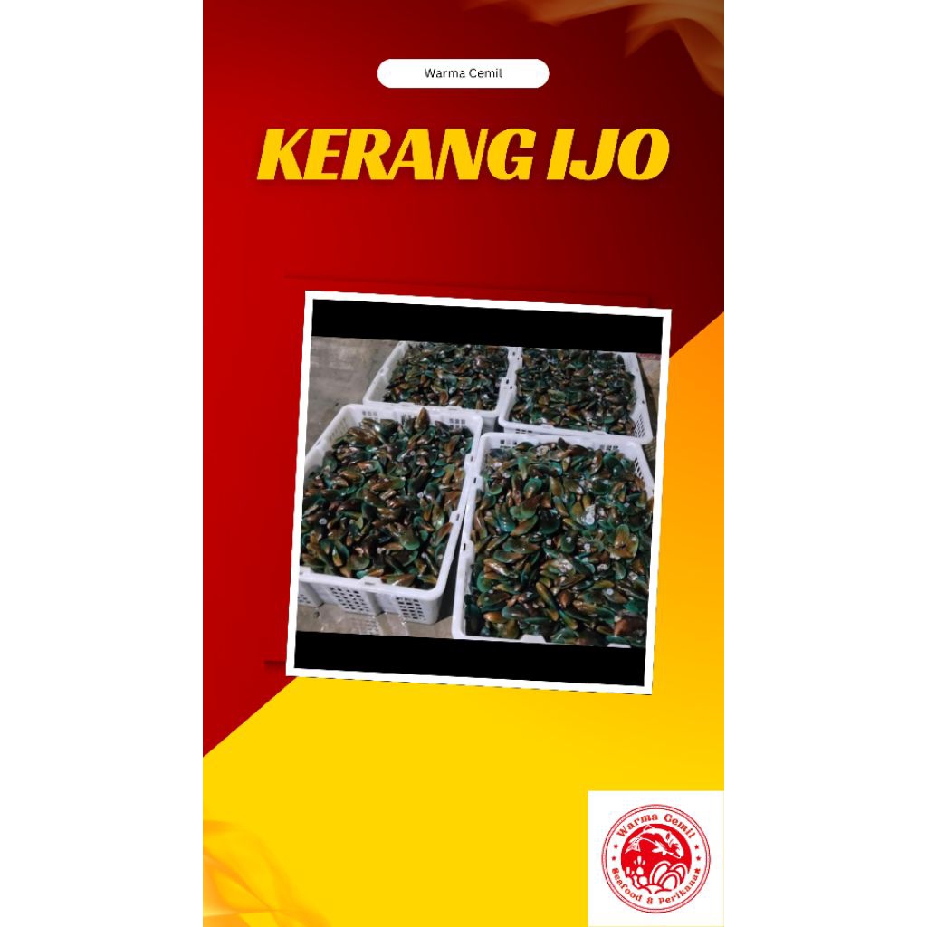 

Kerang ijo