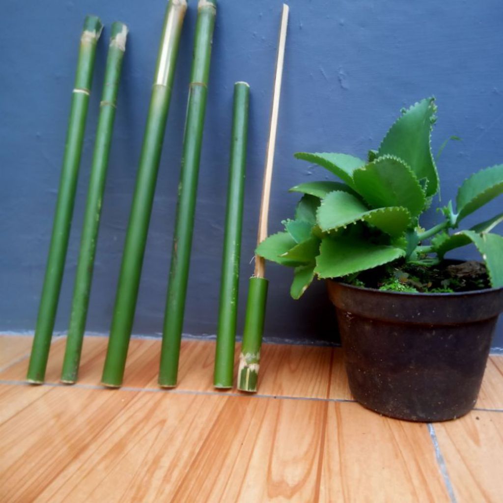 pletokan bambu murah