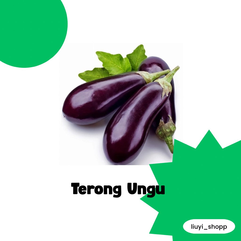 

terong ungu besar fress 500gram