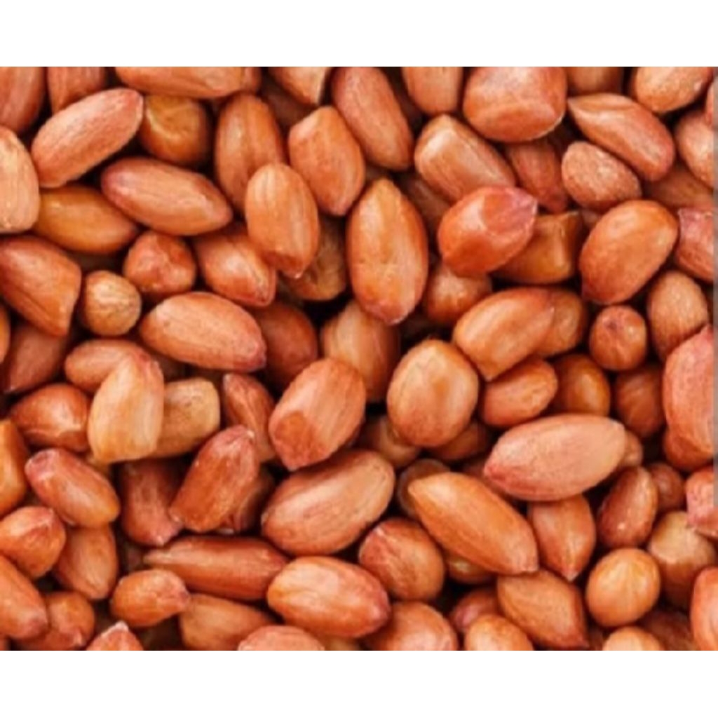 

Kacang Tanah Mentah Import 500 Gram