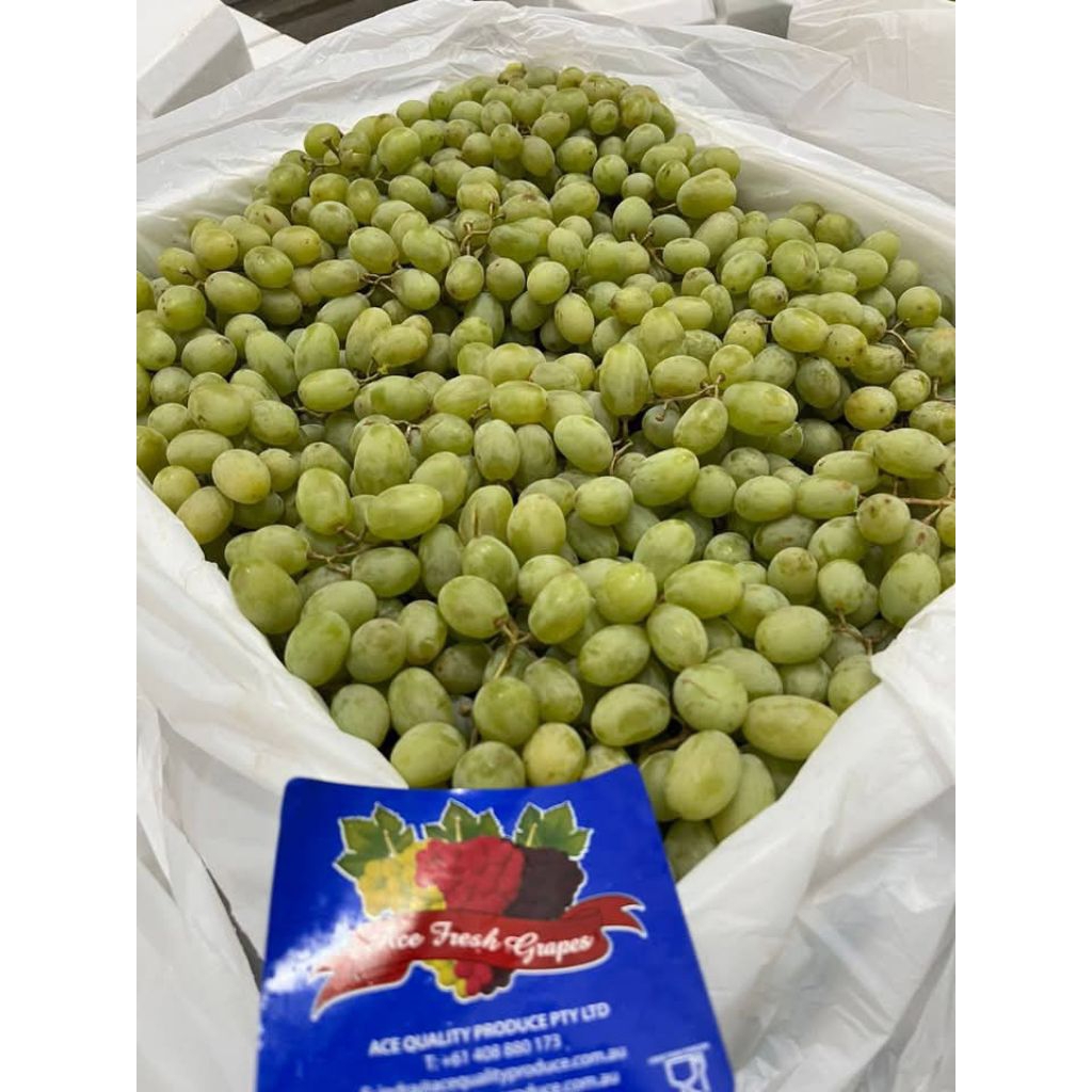 

ANGGUR AUTUM CRIPS SEDDLES MUANIS 9kg