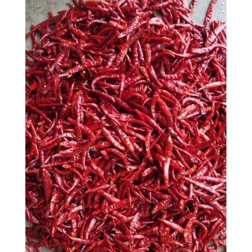 

cabe kering teja tanpa tangkai super pedas isi 250gr