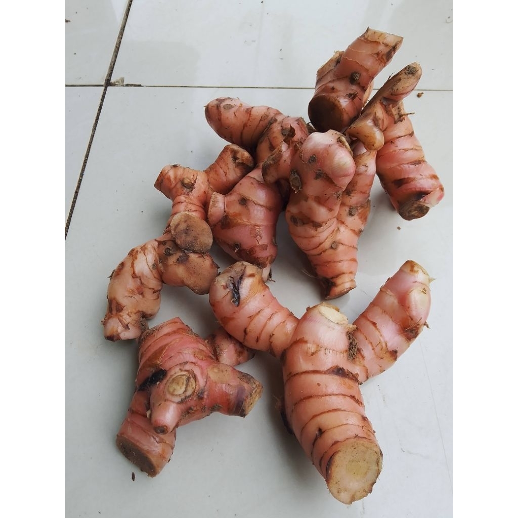 

Lengkuas merah segar 1kg