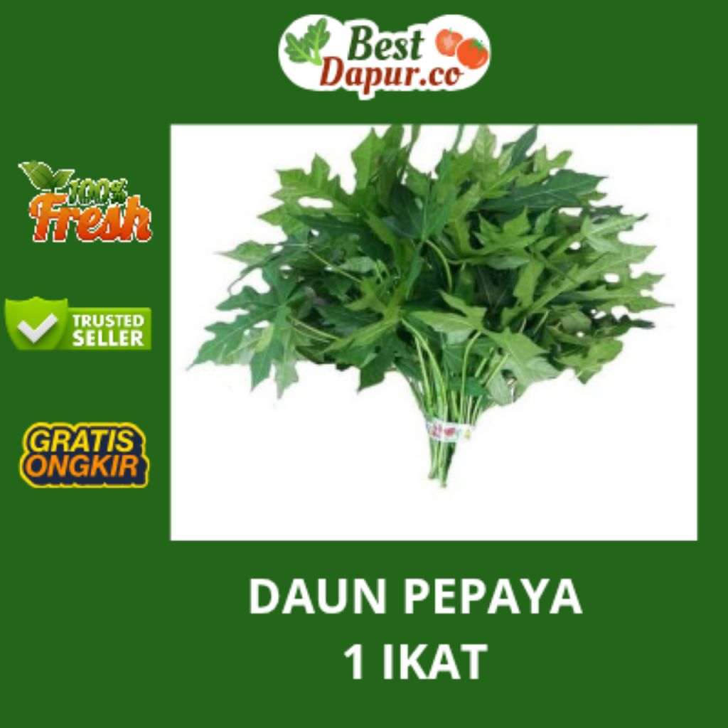 

DAUN PEPAYA -- 1 IKAT -- Best Dapur .Co