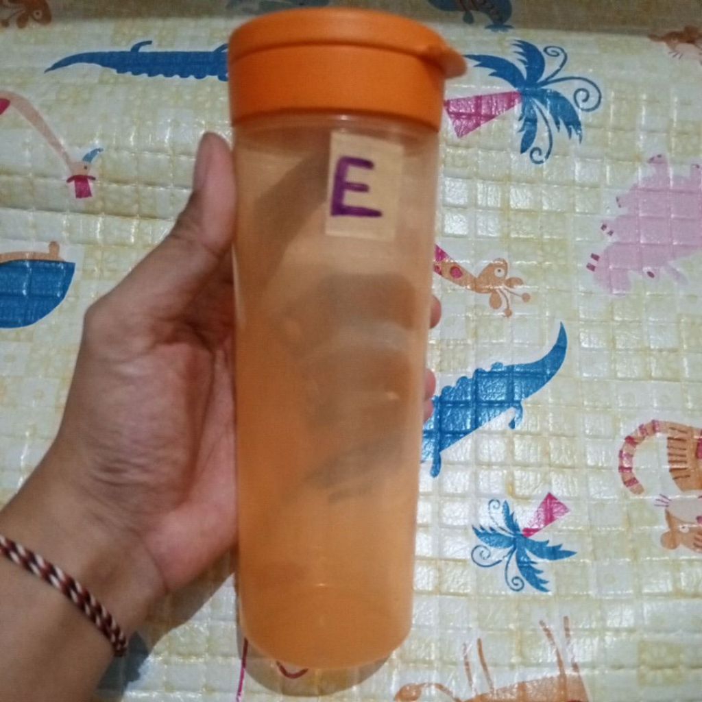 Preloved (E) Squeeze It  / Squeeze Me Tupperware tanpa karet silikon