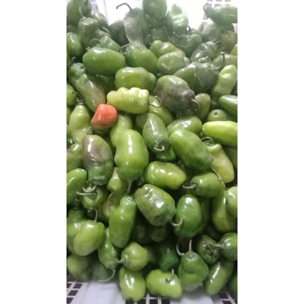 

cabe gendot