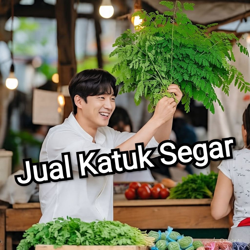 

Daun Katuk Segar 100gr, Jual daun katuk terdekat