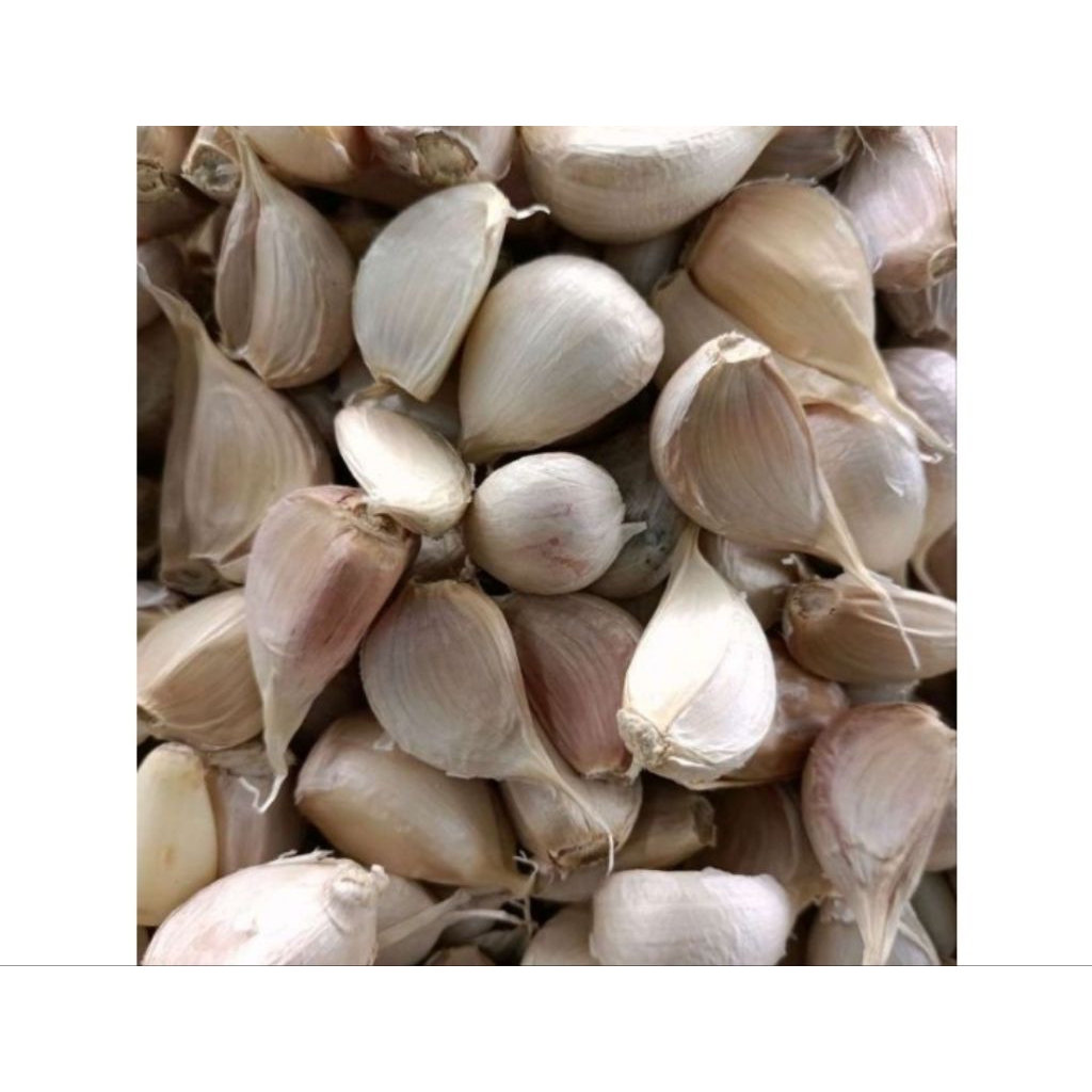 Bawang putih kating 1kg sudah lepas bonggol,sudah sortir besar²