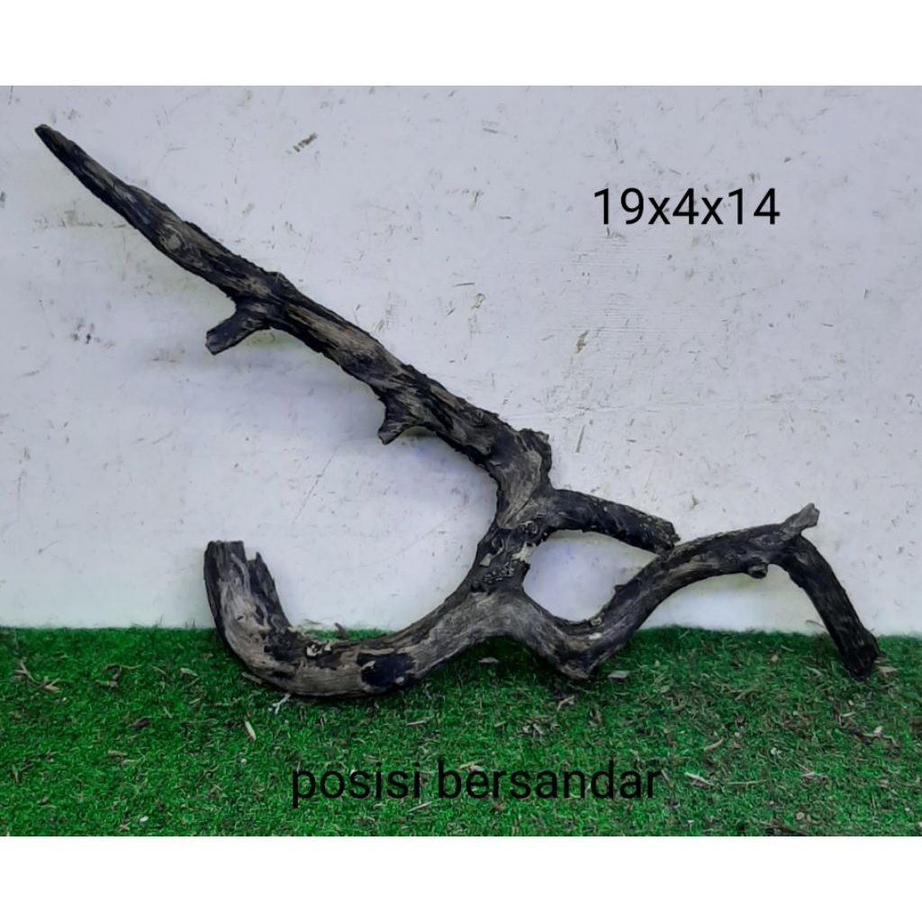 Kayu Santigi Laut Kecil 19cm Kayu Tenggelam Aquascape Aquarium Taman 19x4x14 T