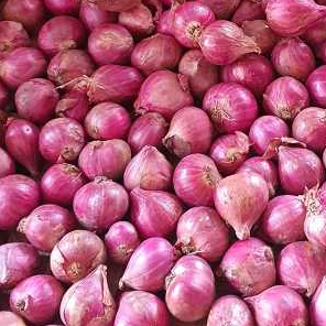 

bawang merah probolinggo kemasan 500 gram