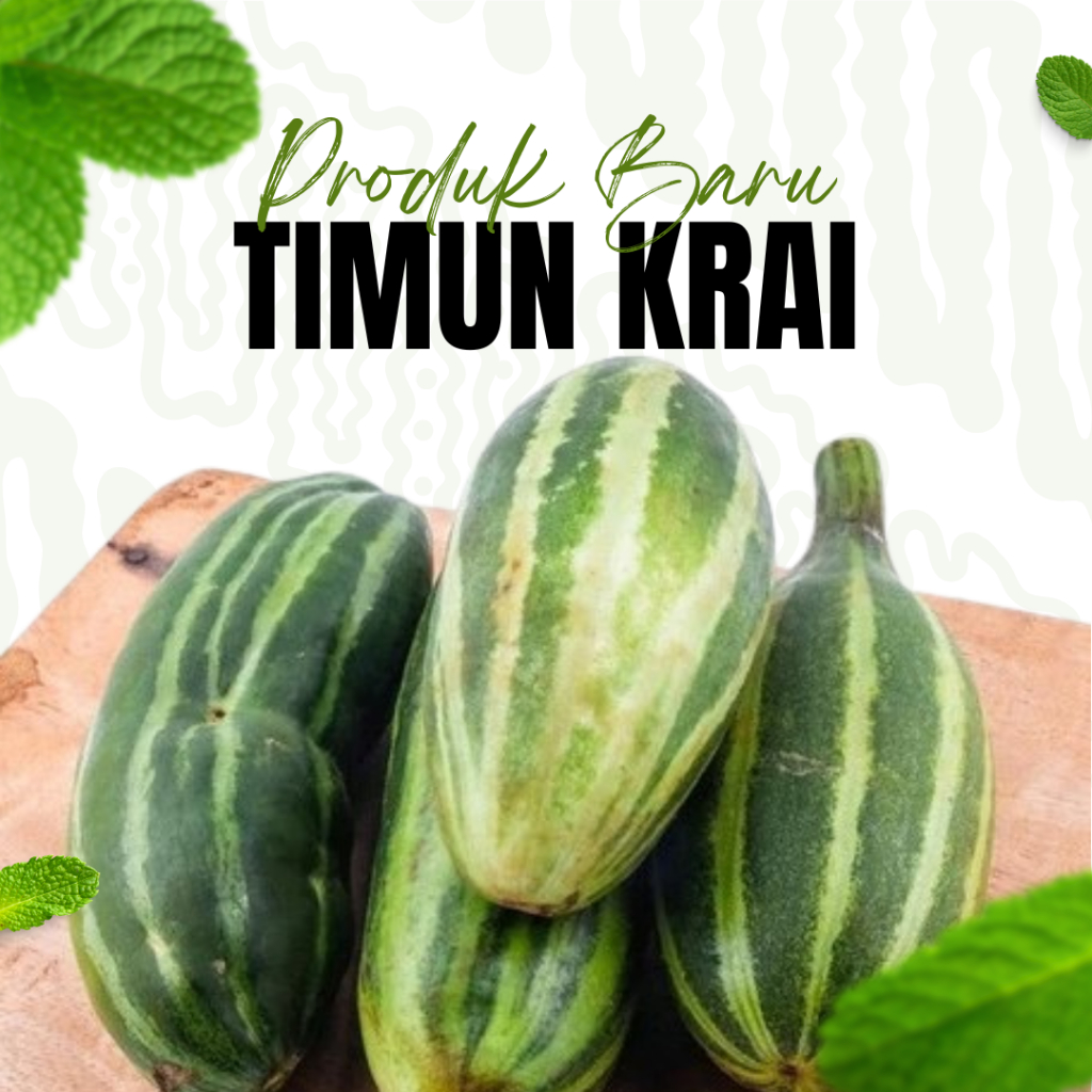 

Sayur Timun Krai 1 Buah / Timun Krai Segar / Lalapan Timun / Sayur Krai / Masak Timun