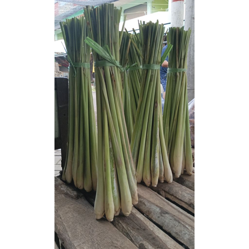 

sereh segar 1 ikat