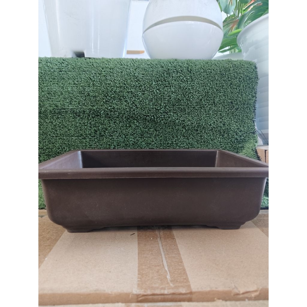 (12pcs) POT KOTAK BONSAI 30 pot ceper kotak bonsai lusinan