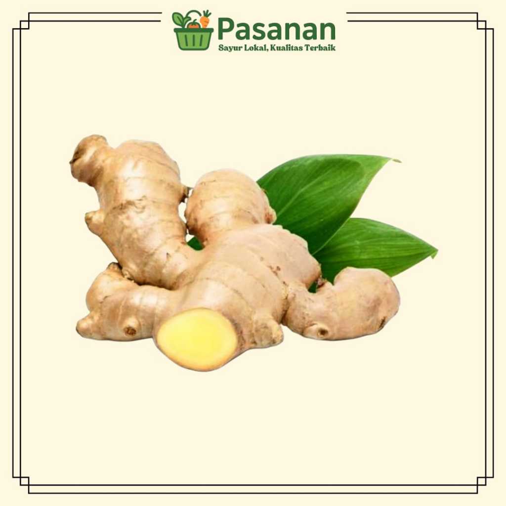

Jahe Segar 250g/1kg Bumbu Dapur Sehat - Pasanan