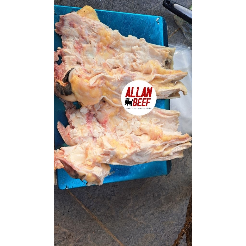 

Tunjang Full Fillet tanpa tulang besar dan tanpa tulang kuku