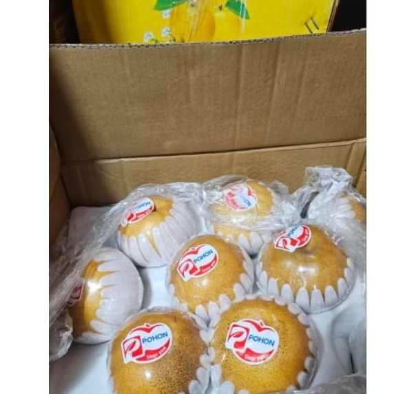 

PEAR SINGGO 1 DUS BERAT 7kg