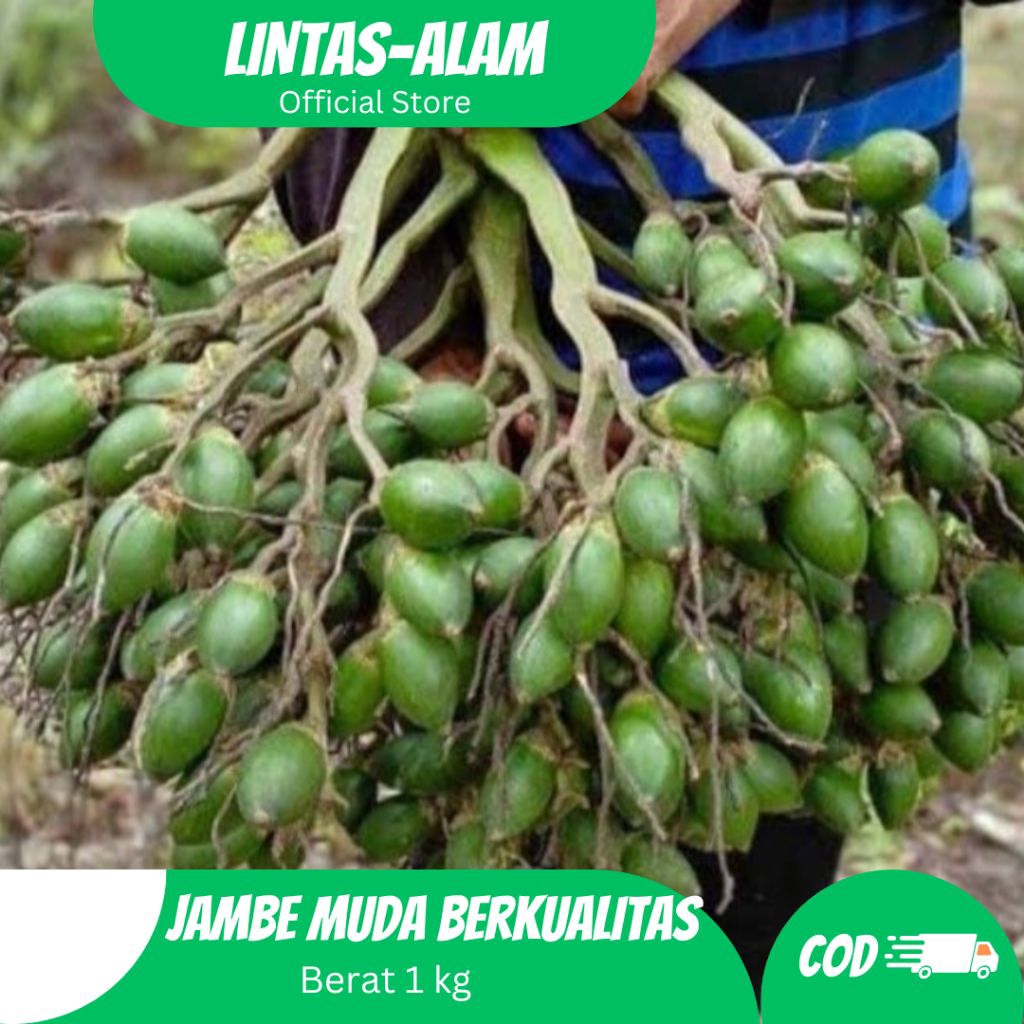 

promo1kg Buah Pinang Muda Segar-jambe muda fresh