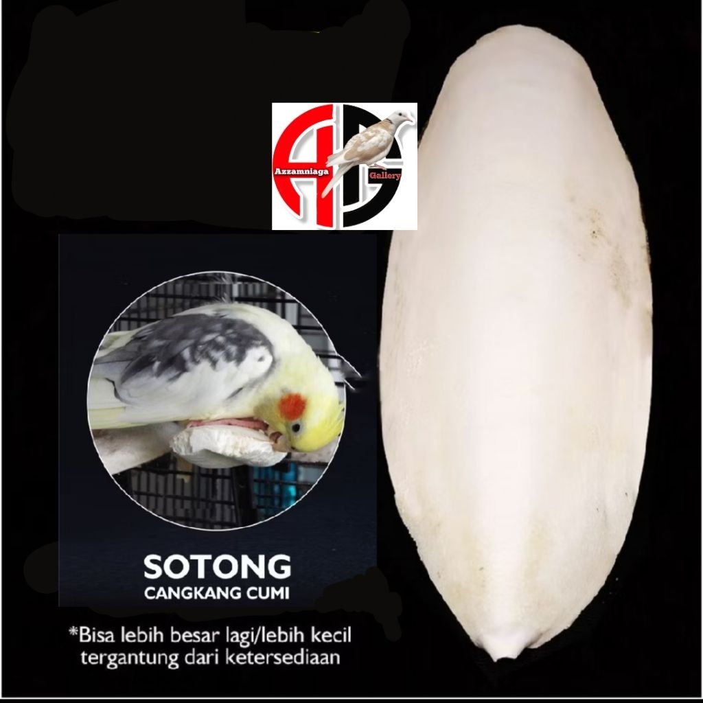 TULANG SOTONG ASINAN BURUNG LOVEBIRD ASINAN BURUNG KENARI -+ 10 - 12 CM