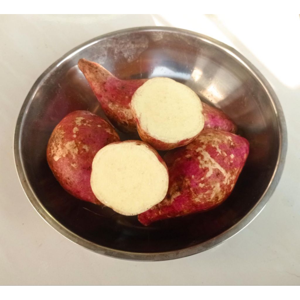

Ubi Mukid / Ubi Malem 1kg