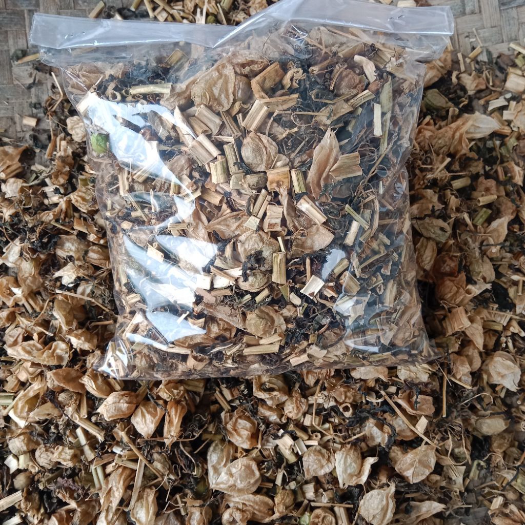 

daun ciplukan kering/cecenet 150gram teh ciplukan