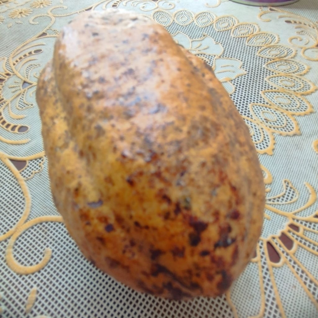 

Buah Kakao Untuk Membuat Cokelat