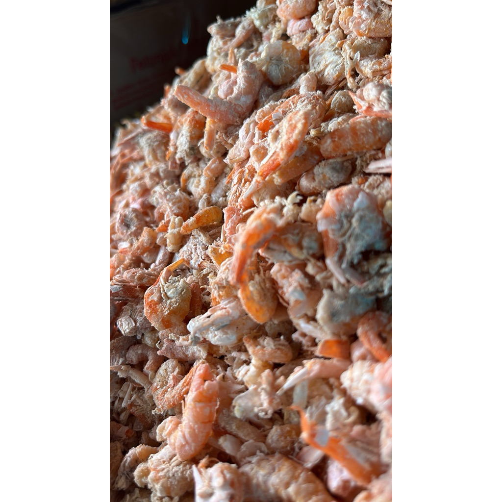 

udang kering/ ebi