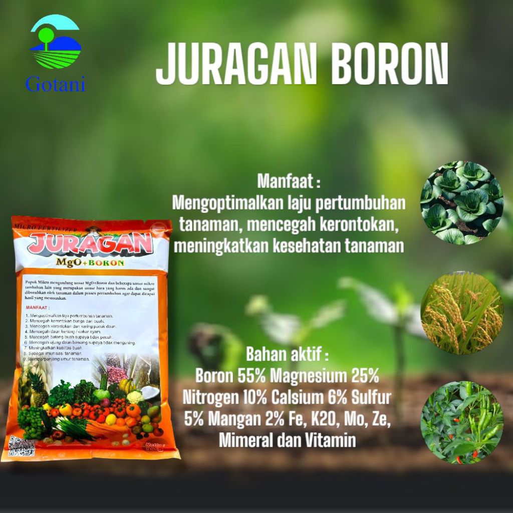 JURAGAN BORON MgO 1 kg