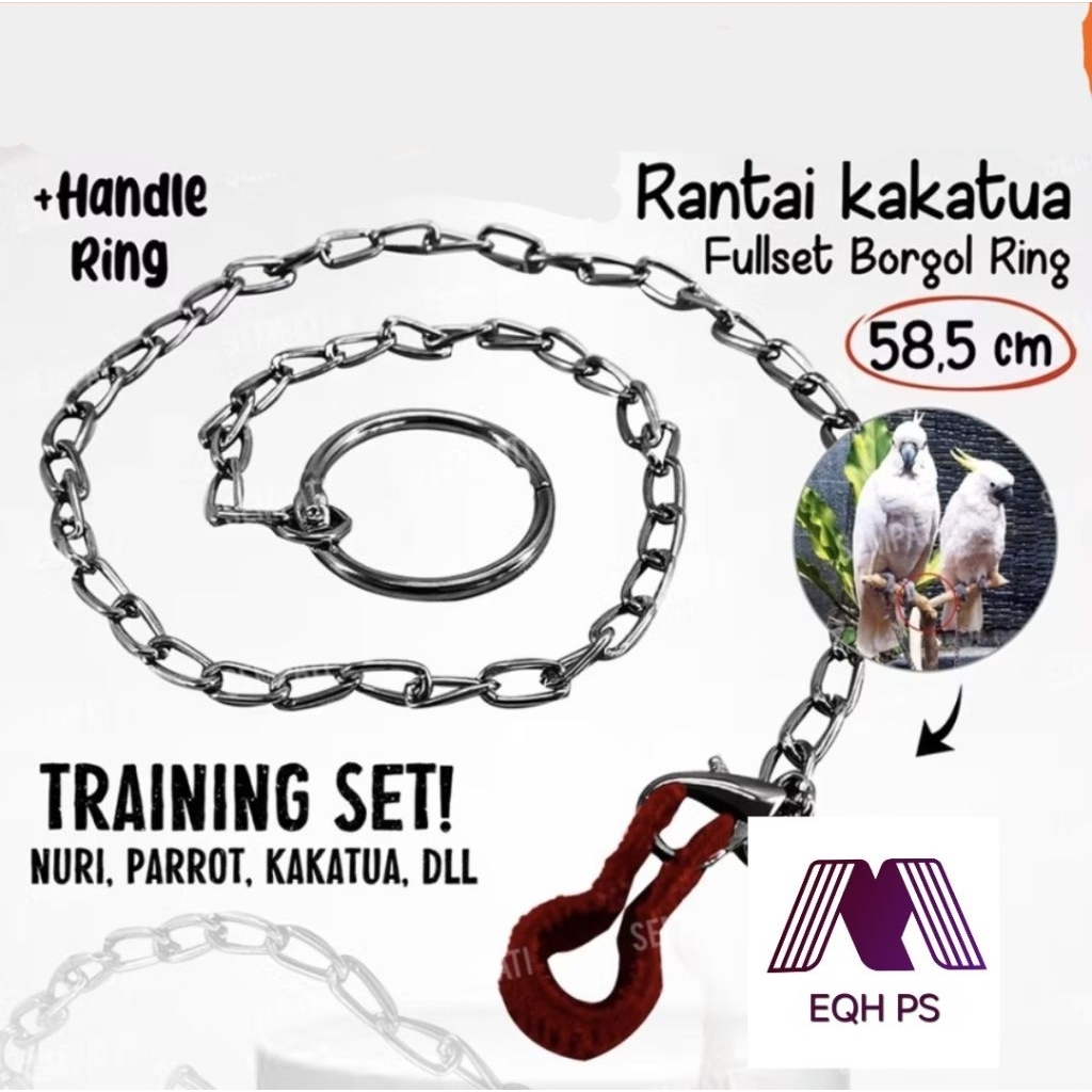 RANTAI TRAINING LATIH IKAT KAKI BORGOL BURUNG KAKATUA Nuri Parot Parkit Australia