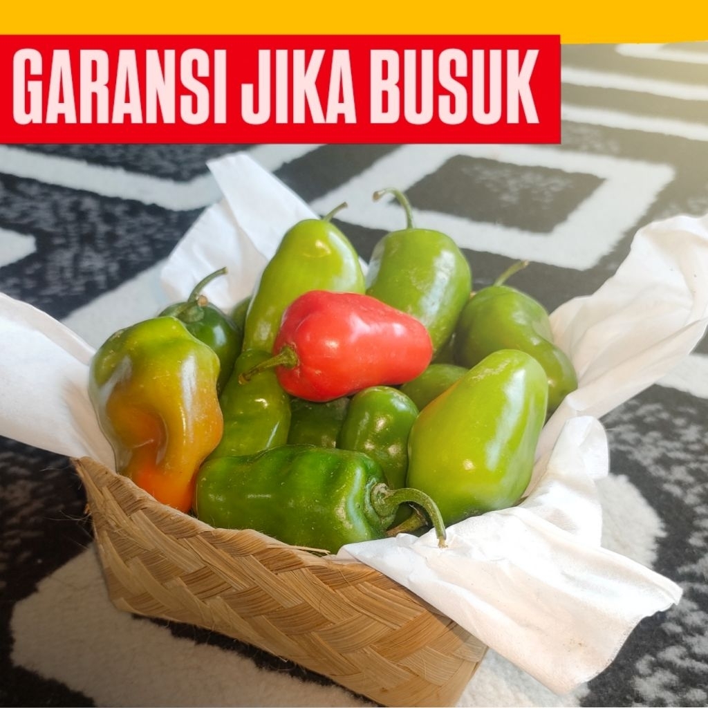 

Cabai Gendot Dieng 1kg