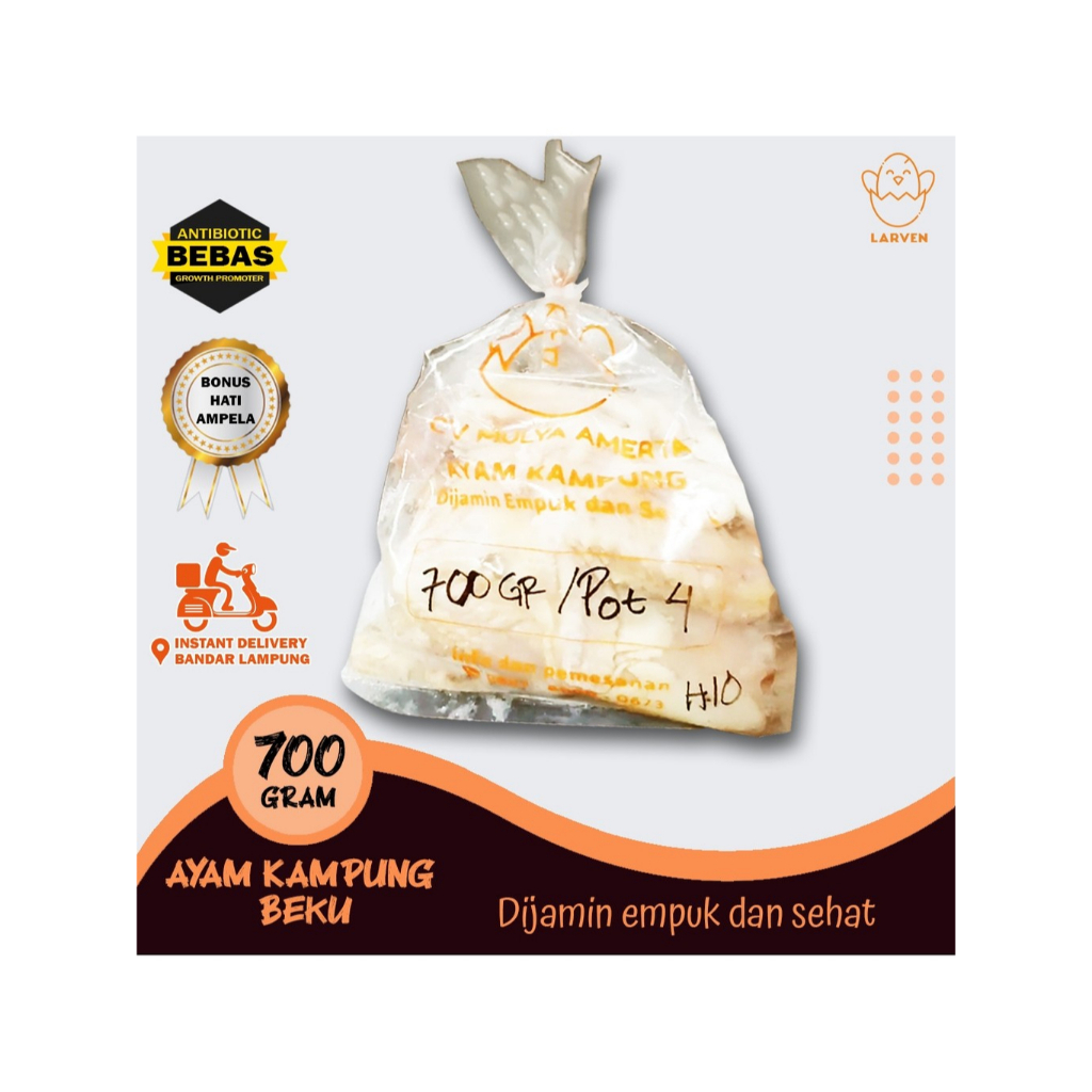 

Ayam kampung fresh frozen utuh ukuran 700 gram bisa dikirim hari ini
