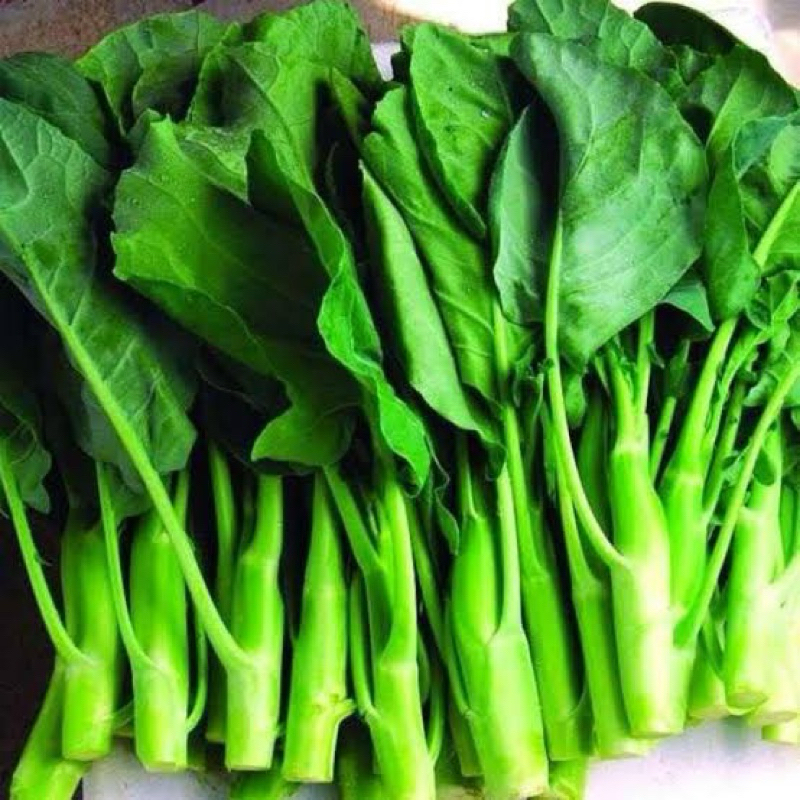 

SAYUR BABY KAILAN 250 GR