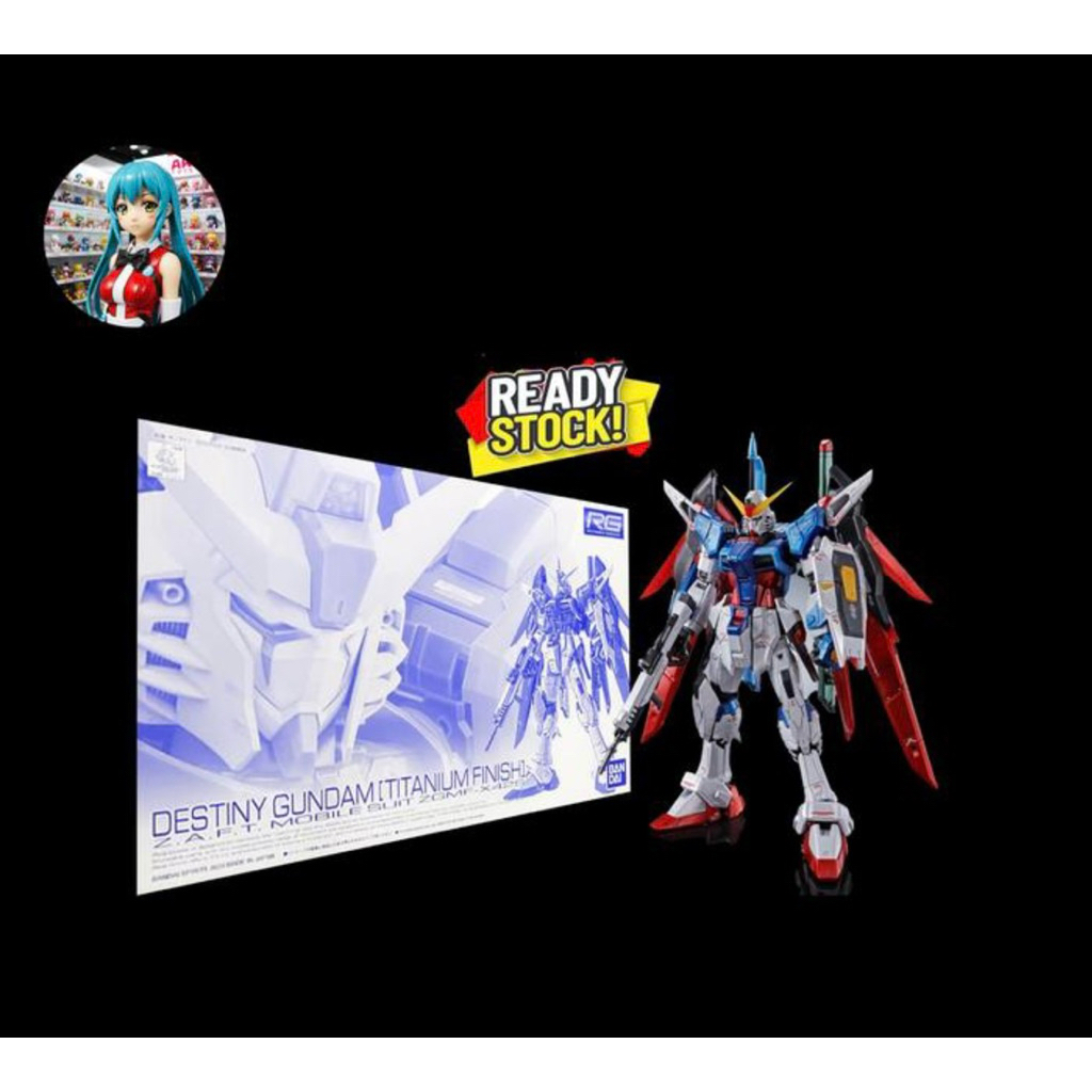 RG 1/144 DESTINIY GUNDAM TITANIUM FINISH