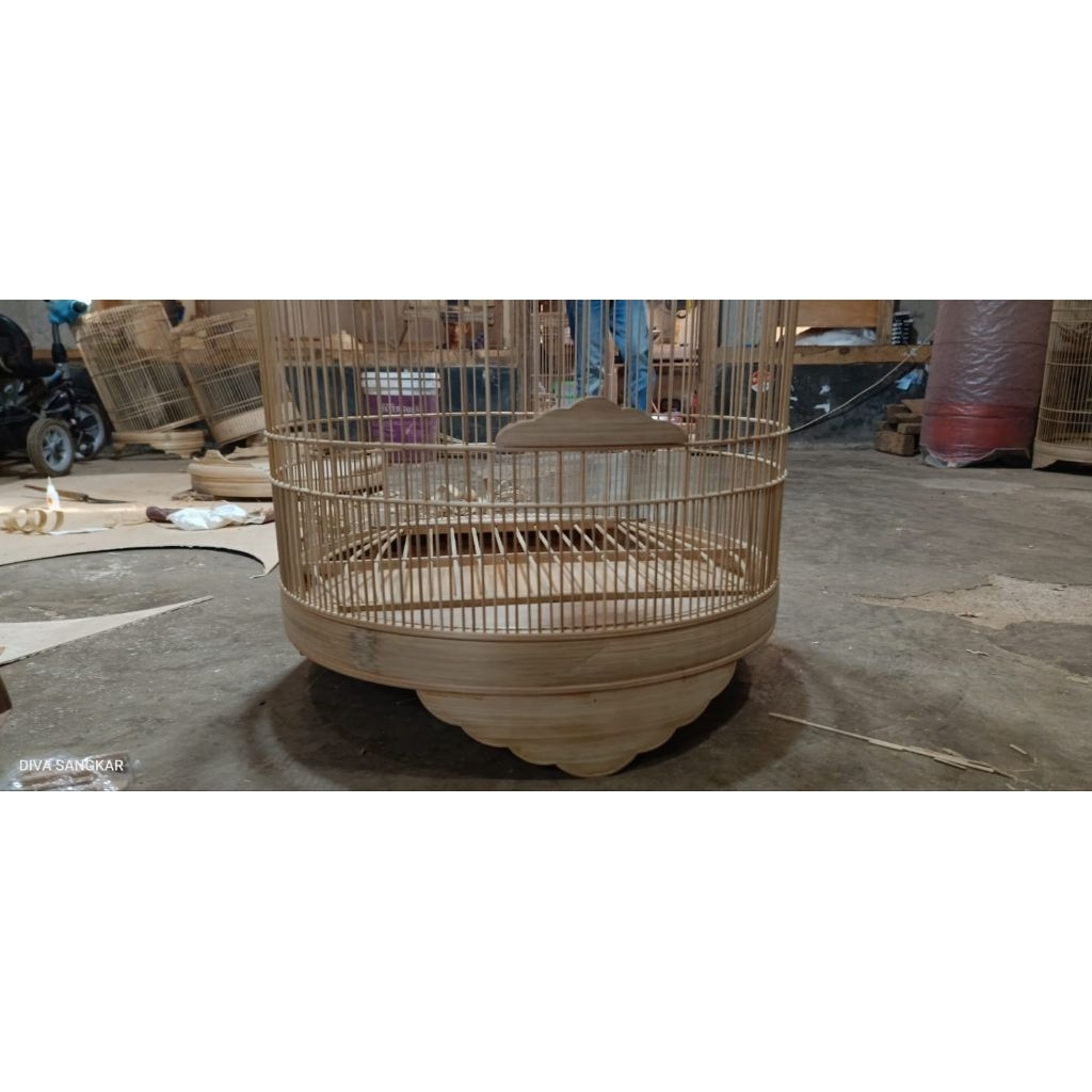 sangkar Ambrukan murei model BNR