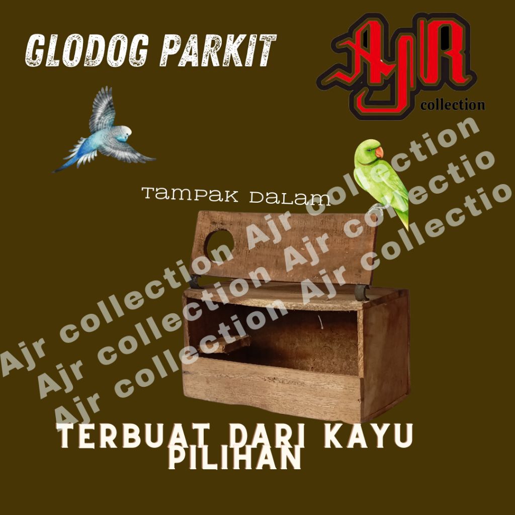 Glodok parkit ternak burung parkit rumah burung parkit penangkar murah Glodog parkit