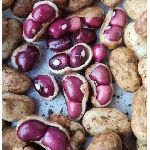 

KACANG TANAH SUPER PULEN BERSIH 1KG