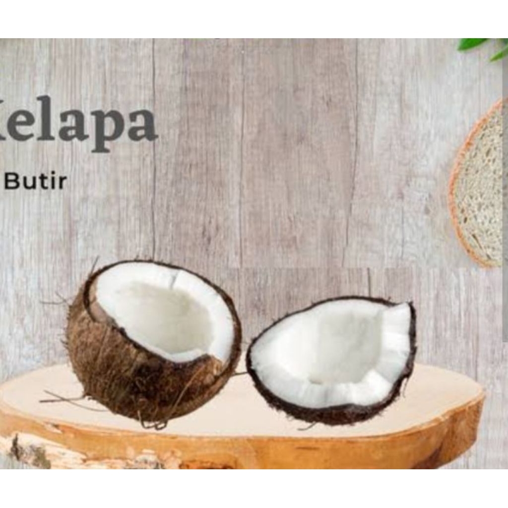 

kelapa tua /butir