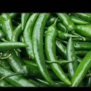 

CABE BESAR IJO 1 KILO / CABE HIJAU / SAYUR CABAI / CABAI BESAR SEGAR 1 KILO