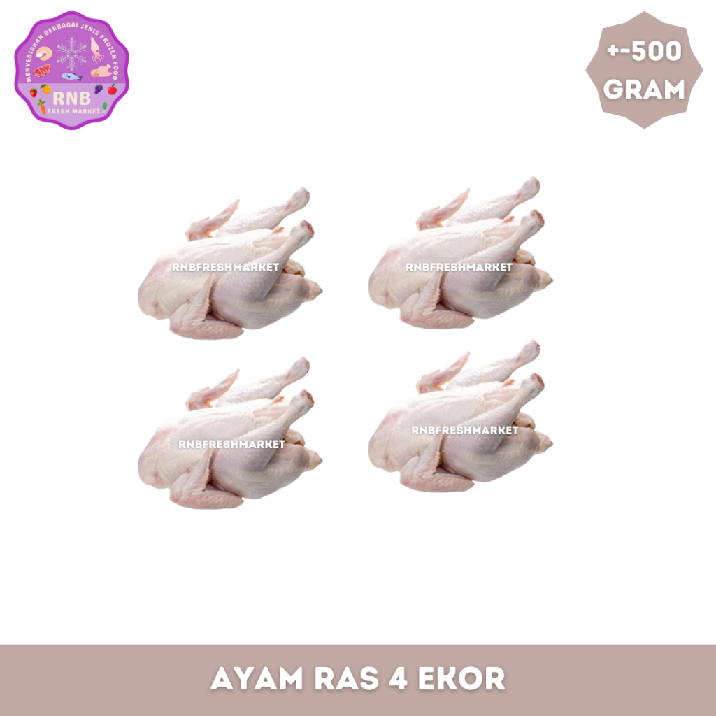 

Ayam Ras 4 Ekor Lengkap Hati,Ampela Dan Ceker Netto +- 500 Gram / Ekor