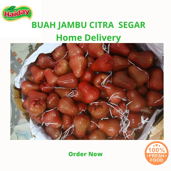 

PROMO BUAH JAMBU AIR CITRA MERAH GRADE A FRESH READY SETIAP HARI 1KG
