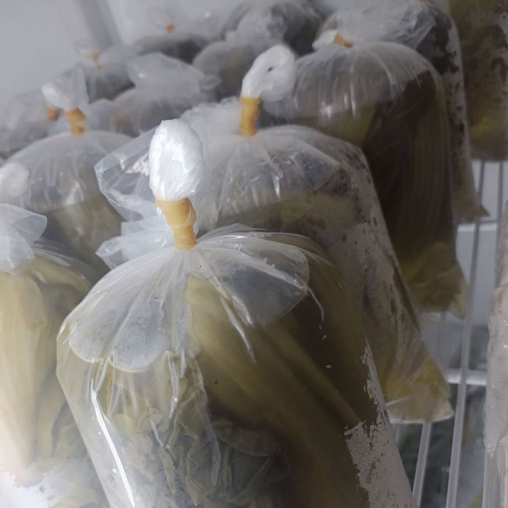 

sayur asin kemasan 1000 gram