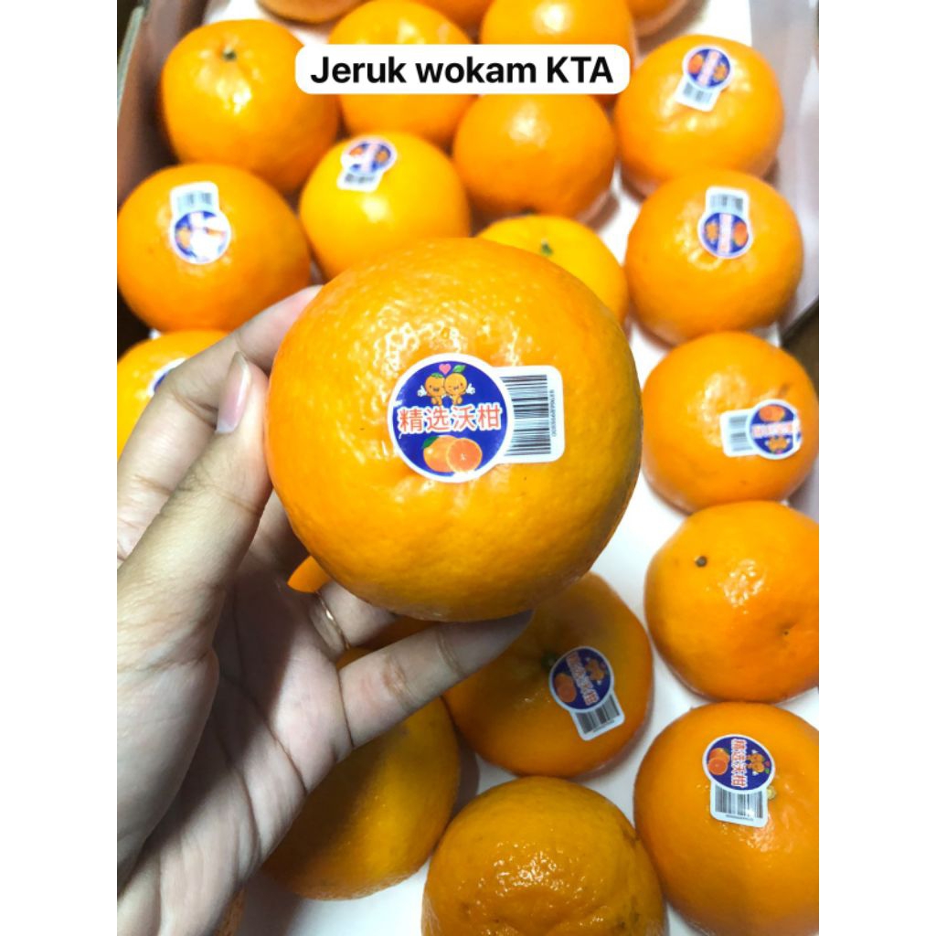 

Jeruk Wokam KTA /kg