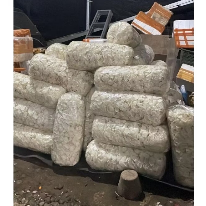 

10 KG OPAK SINGKONG OPAK KOIN MENTAH KHAS WONOSOBO